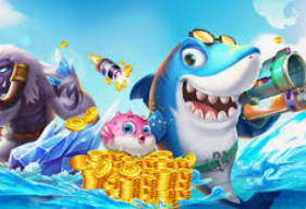 595cc开元官网版2024最新版