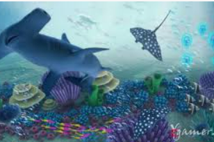 595cc开元官网版2024最新版